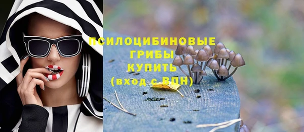 твердый Вязьма