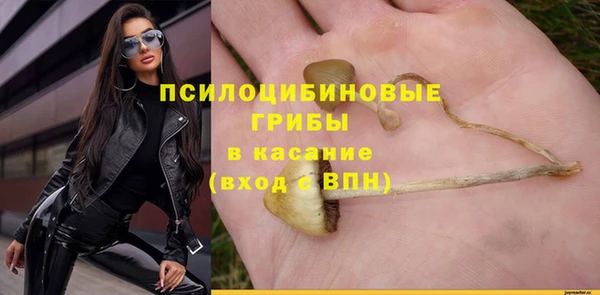 твердый Вязьма