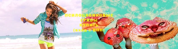 крисы Вяземский