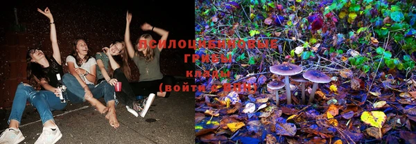 прущие крисы Вязники