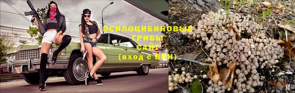 хмурый Горняк