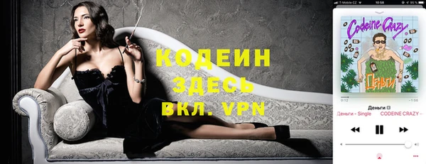 крисы Вяземский