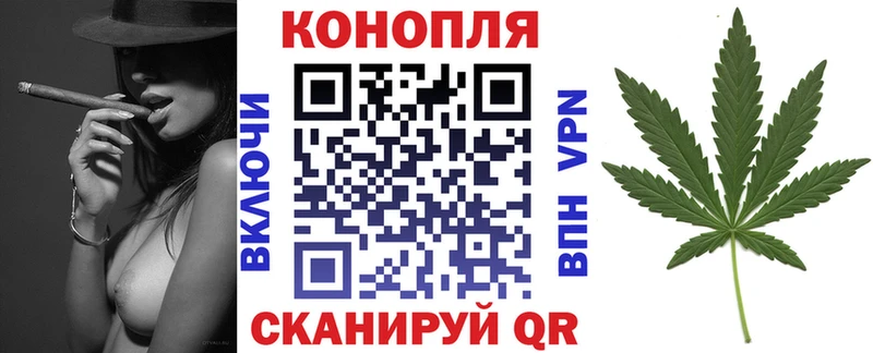 где можно купить   мега рабочий сайт  Бошки Шишки Amnesia  Западная Двина 